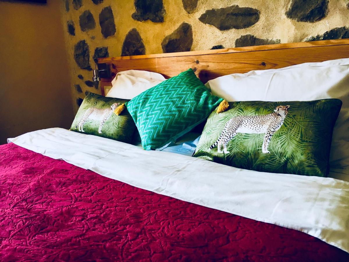 Chabottes Chambre D'Hotes La Grange Des Ecrins מראה חיצוני תמונה